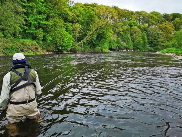 Blackwater Salmon in Ireland is fly fishing and spin fishing (9)