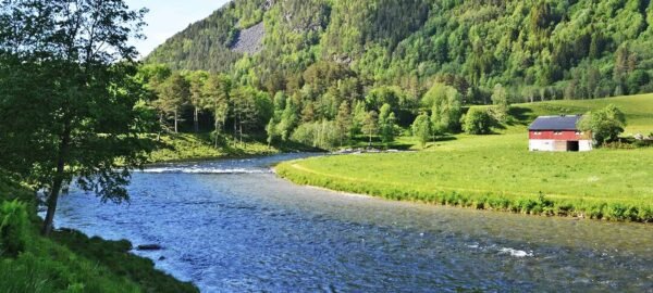 Fishingweeks in Norway flyfishing salmon in Todalen 13 % - fishingweeks