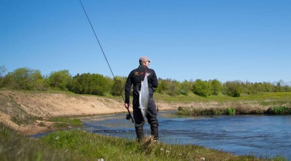 fiskerejse skjern aa % - fishingweeks