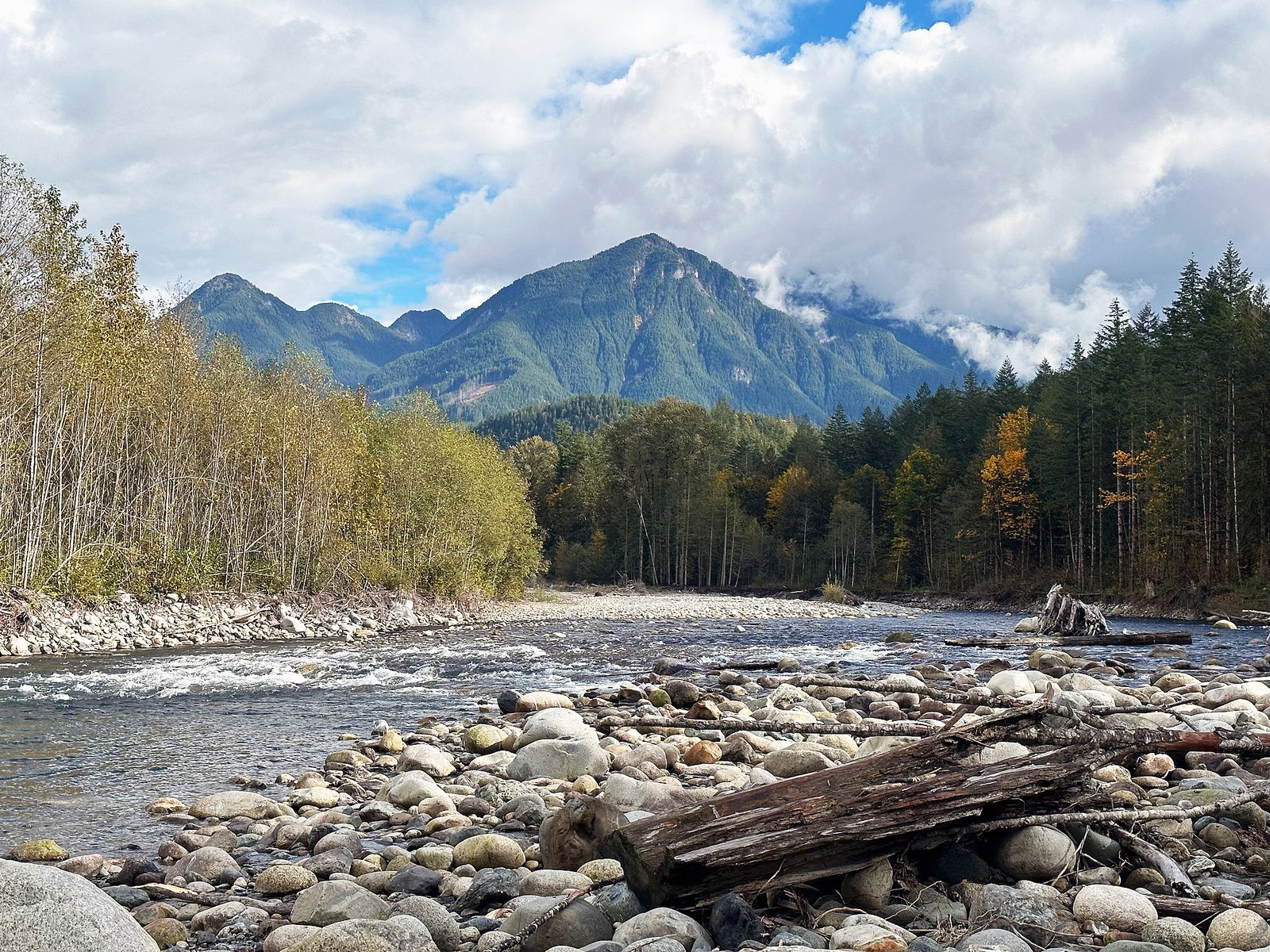 Fishingweeks in Chilliwack catching Salmon, Chum, Coho (1)