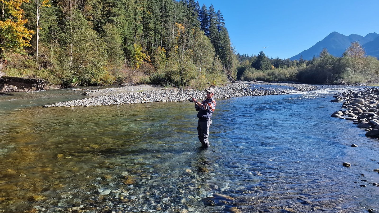 Fishingweeks in Chilliwack catching Salmon, Chum, Coho (1)